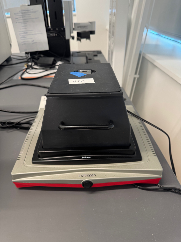 Image of Invitrogen Safe Imager 2.0 Blue-Light Transilluminator